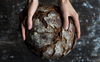 Comment choisir un fournisseur pour ma boulangerie ?